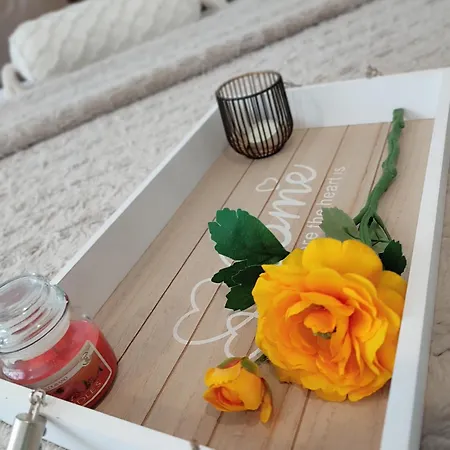 Summer Day Affittacamere