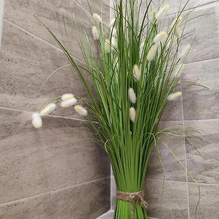 Summer Day Affittacamere Chernomorets