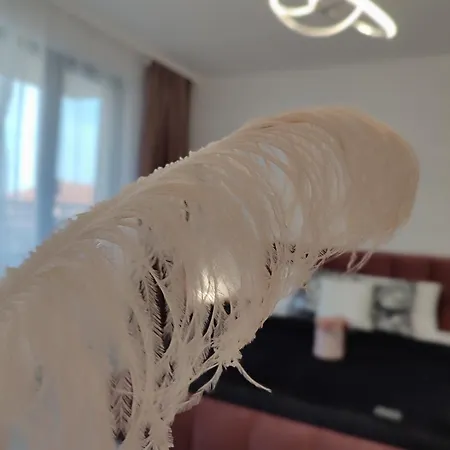 Summer Day 게스트하우스 3*