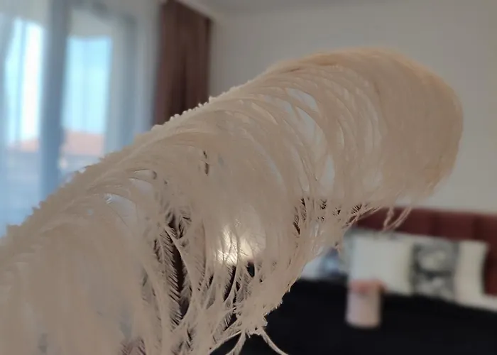 Summer Day 招待所 3*