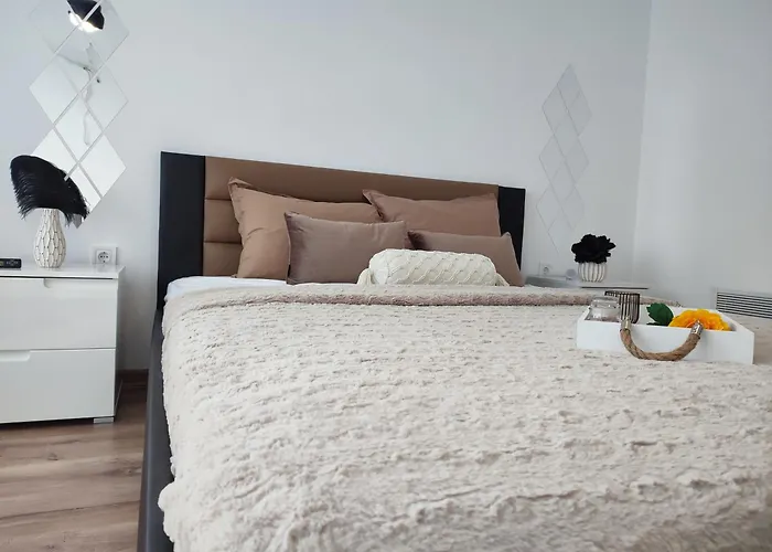 Summer Day 招待所