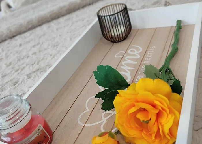 Summer Day 招待所