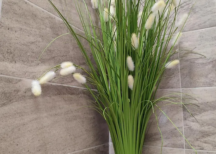 Summer Day 招待所 切尔诺莫雷茨